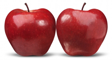 Top 10 Tác dụng đáng kinh ngạc của táo đỏ mà có thể bạn không biết