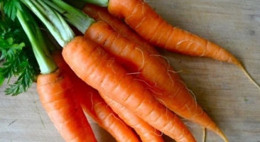 Top 5 Công dụng cho sức khỏe  của cà rốt