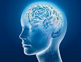 Top 8 Thói quen ảnh hưởng xấu đến sức khỏe bộ não